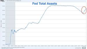 How Federal Reserve Quantitative Tightening Impacts Risk-On Digital Assets